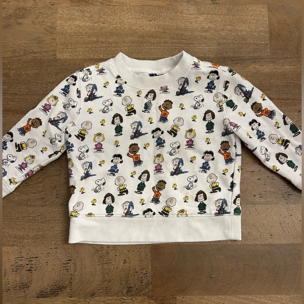 Janie and Jack Sweatshirt Size 2T